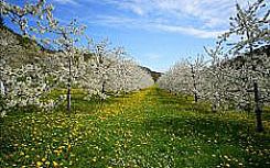 Der Preis ab 700,00 € gilt
pro Person im Komfort-DZ
für 5 Übernachtungen.