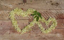  Der Preis ab 380,00 € gilt 
 pro Person im DZ 
 f&uuml;r 2 &Uuml;bernachtungen. 