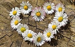  Der Preis ab 186,50 € gilt 
 pro Person im DZ 
für 1 Übernachtung. 