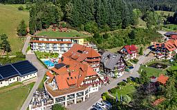 Naturparkhotel Adler in 77709 Wolfach-St Roman