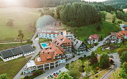 Auen - Naturparkhotel Adler in 77709 Wolfach-St Roman