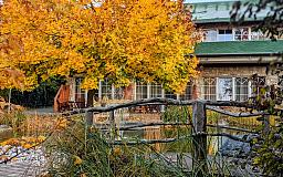 Herbstlich leuchtender Baum mit Haus am Schlossteich im Hintergrund - Wellnesshotel Seeschlößchen - Privat-SPA Naturresort in 01968 Senftenberg