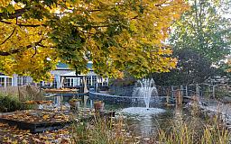 Herbstatmosphre am Schwimmteich - Wellnesshotel Seeschlößchen - Privat-SPA Naturresort in 01968 Senftenberg